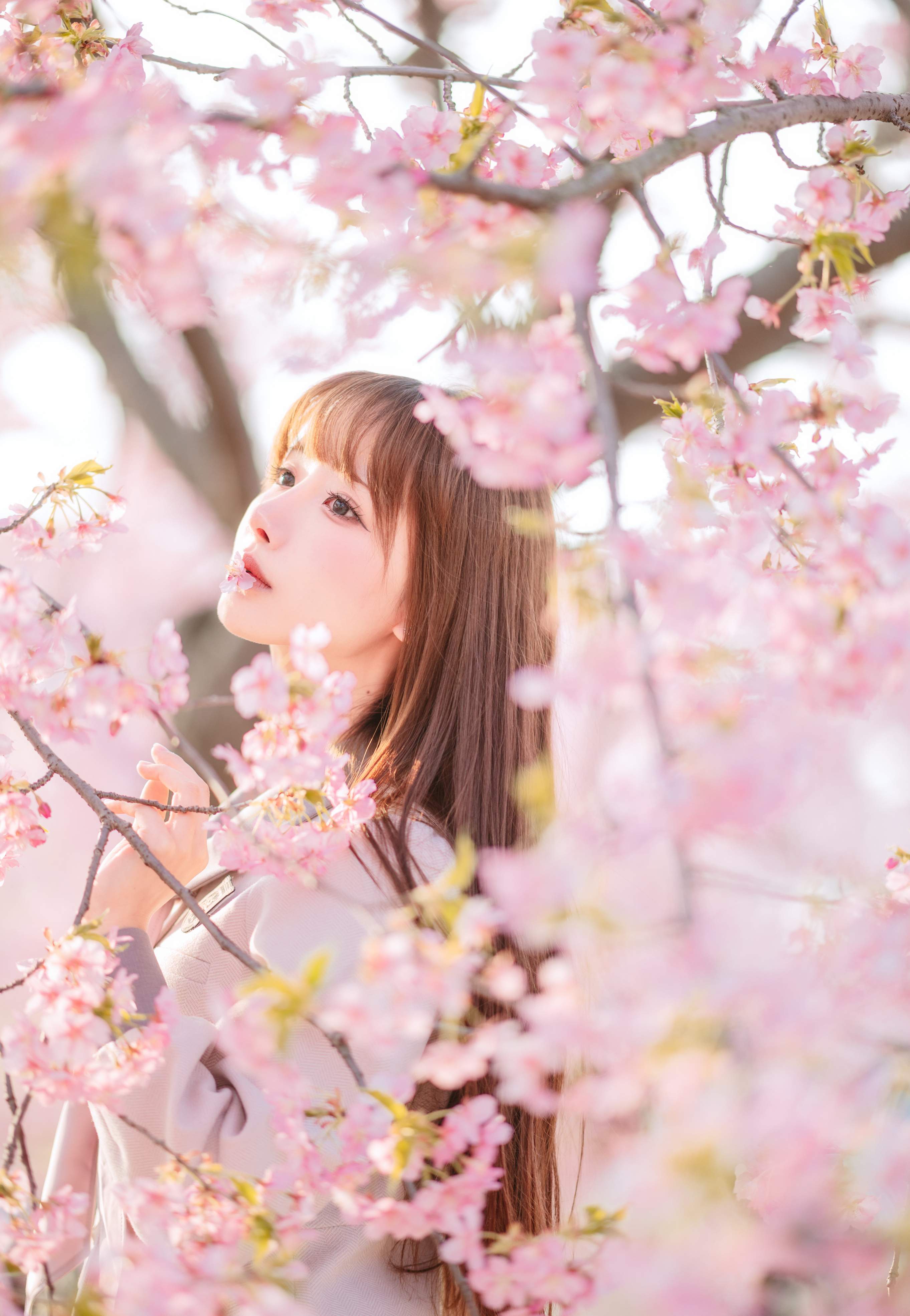 百宝袋 (15).jpg