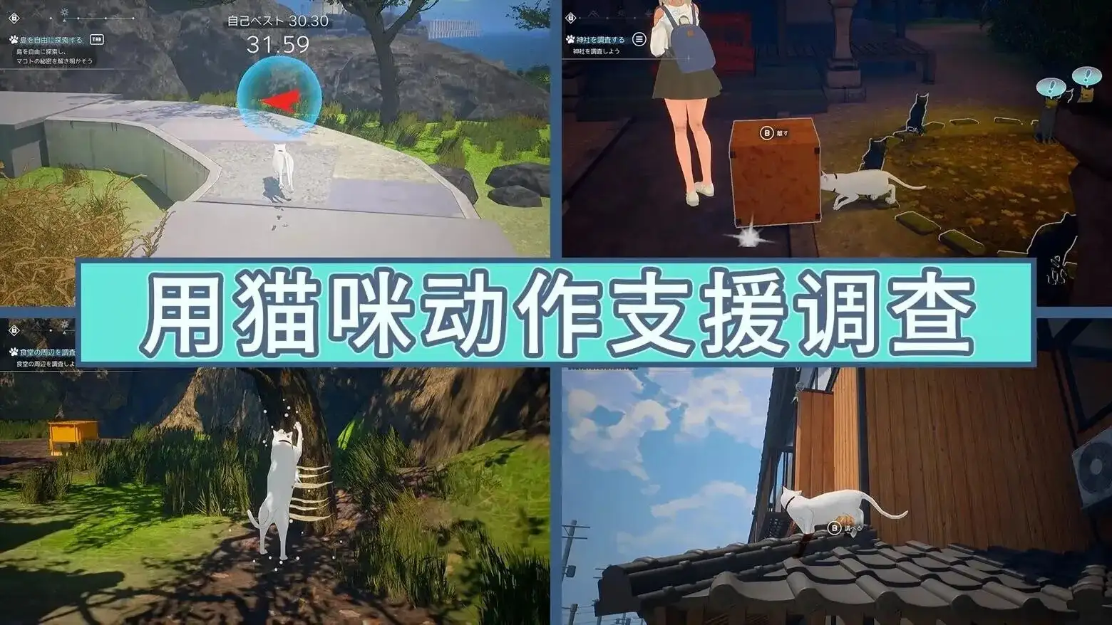 b1328d5f-c476-4ab4-b66c-2c41a7136c82.png