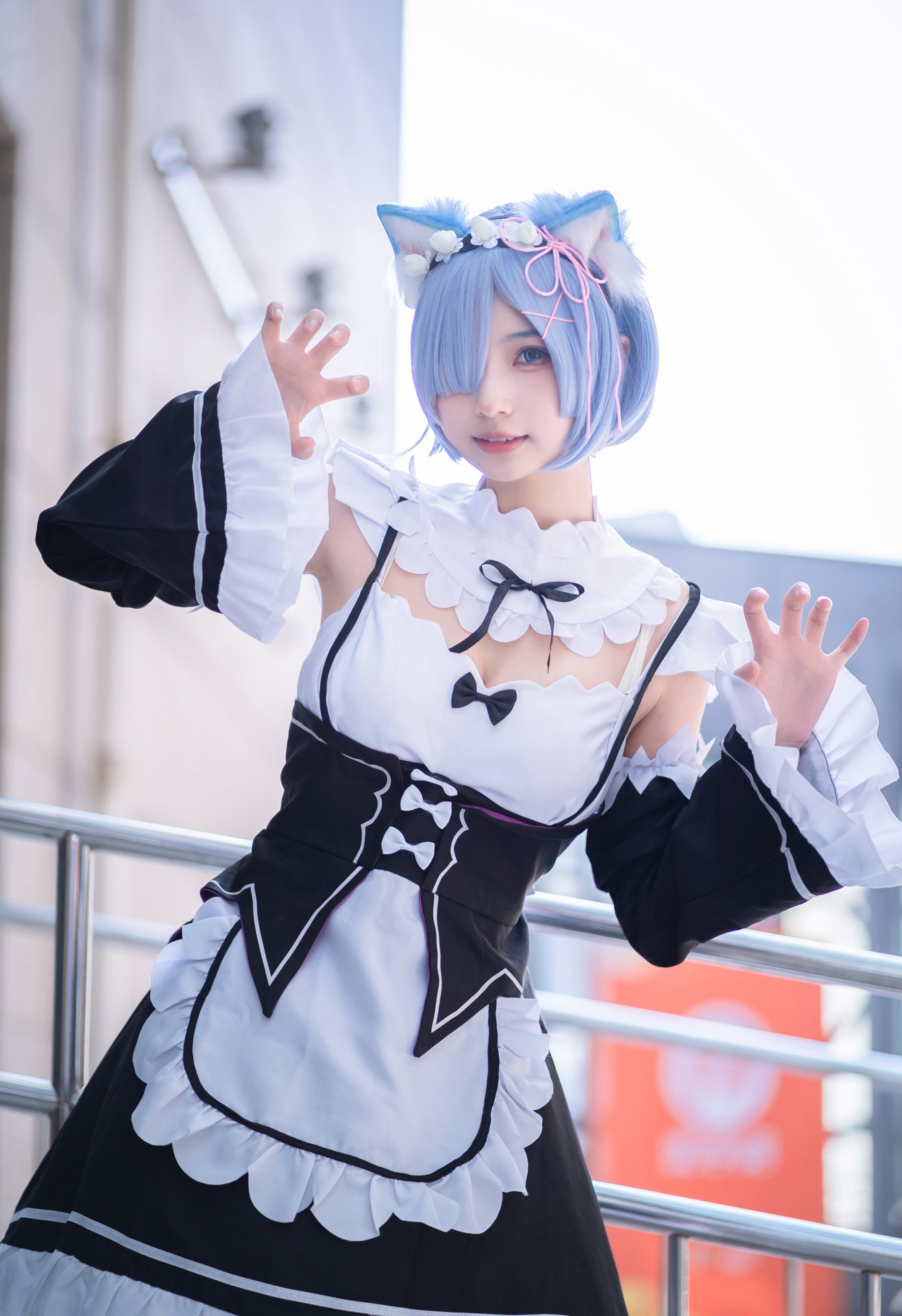 6a698066d9c97.jpg