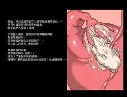 图片[12]-百宝袋