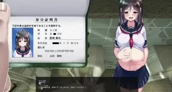 图片[14]-百宝袋