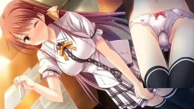 图片[9]-百宝袋