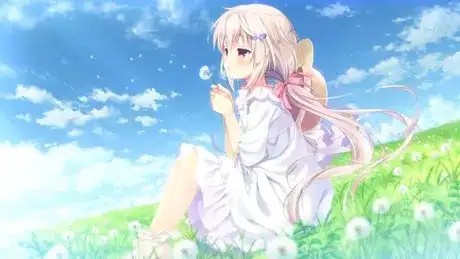 图片[6]-百宝袋