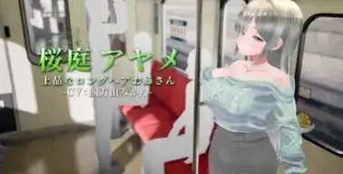 图片[11]-百宝袋