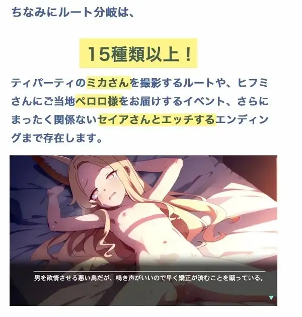 图片[4]-百宝袋